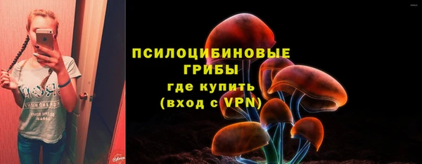 jwh Богородск