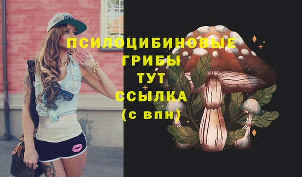 jwh Богородск