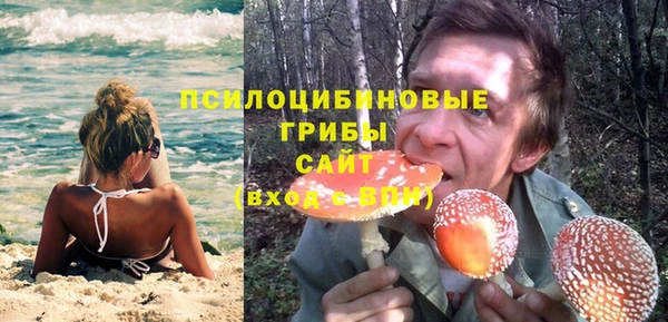 jwh Богородск